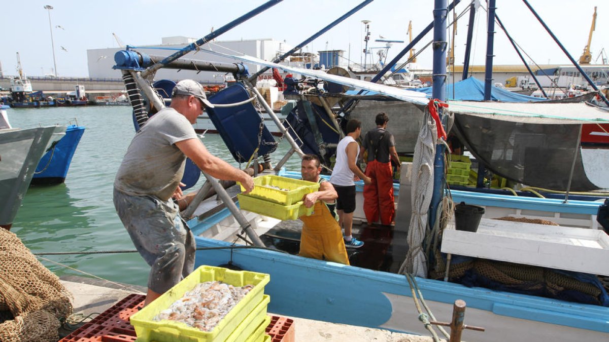 El procés per escollir president de la Confraria de Pescadors s'inicia aquest divendres