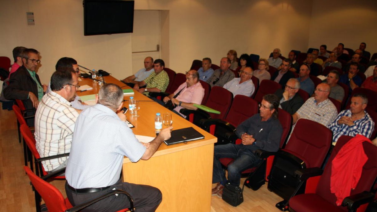 Les cooperatives contràries al fons del govern estudien denunciar l'Associació de Seccions de Crèdit