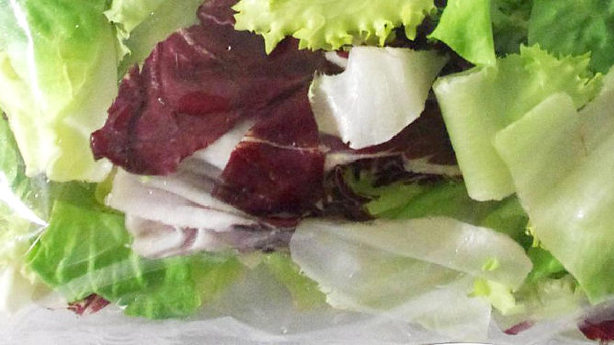 Un estudio alerta del riesgo de salmonela que hay en las ensaladas de bolsa