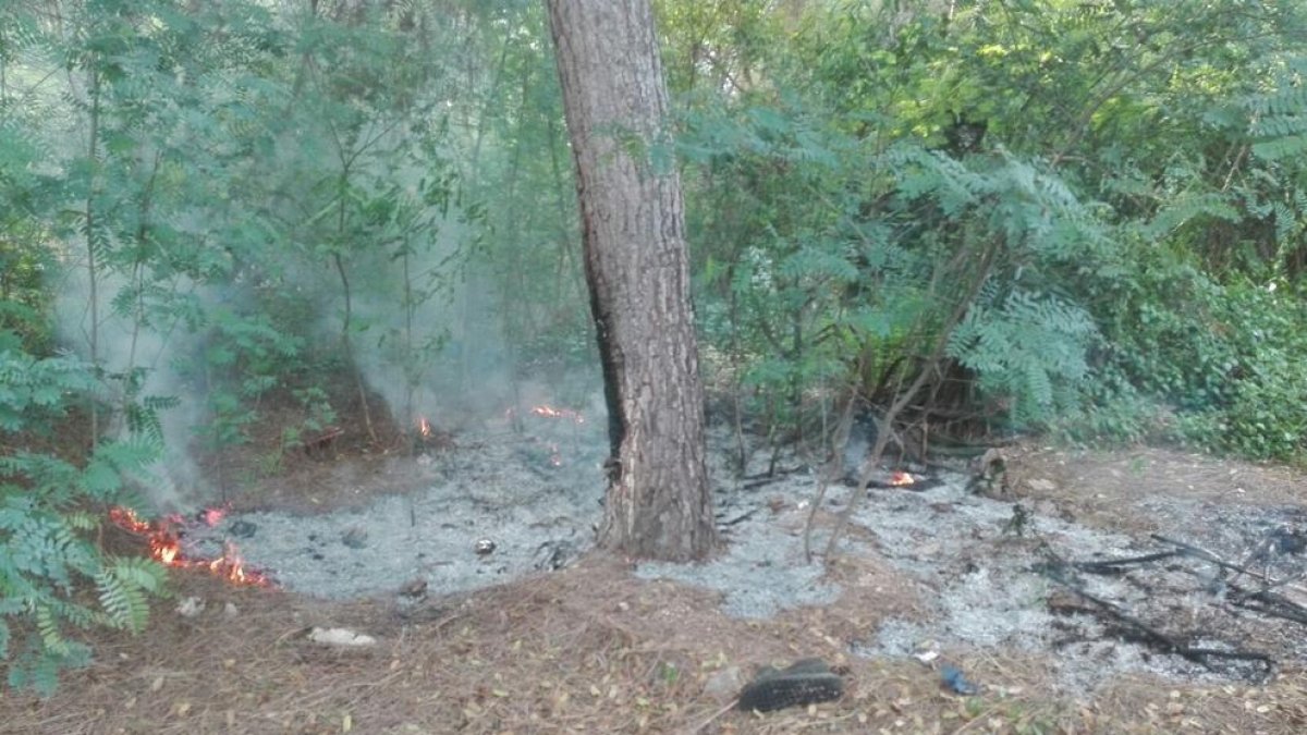 Un grupo de menores podría ser responsable de pequeños incendios intencionados