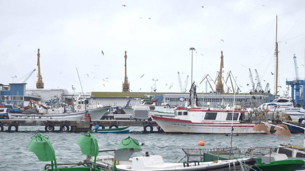 Cuentos desde el mar en el Serrallo