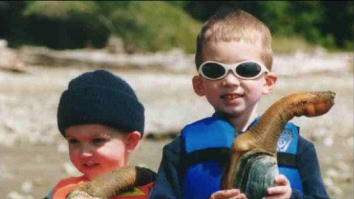 El geoduck, una cloïsa diferent