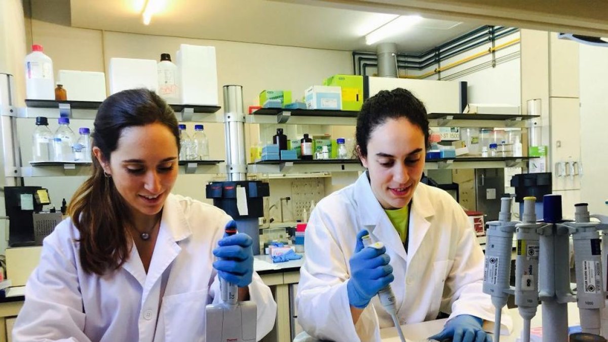 Beber vino ayuda a prevenir la obesidad, según la URV