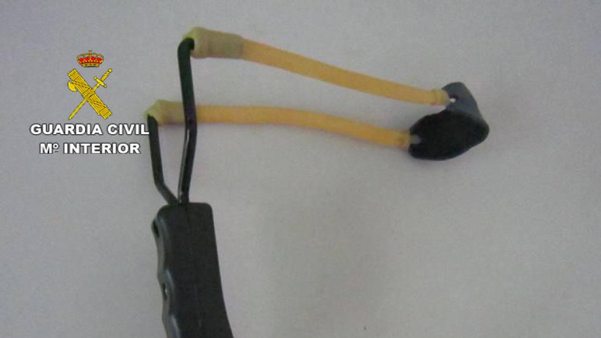 Intervenen 269 tiragomes catalogats com a armes prohibides a un establiment de Tarragona