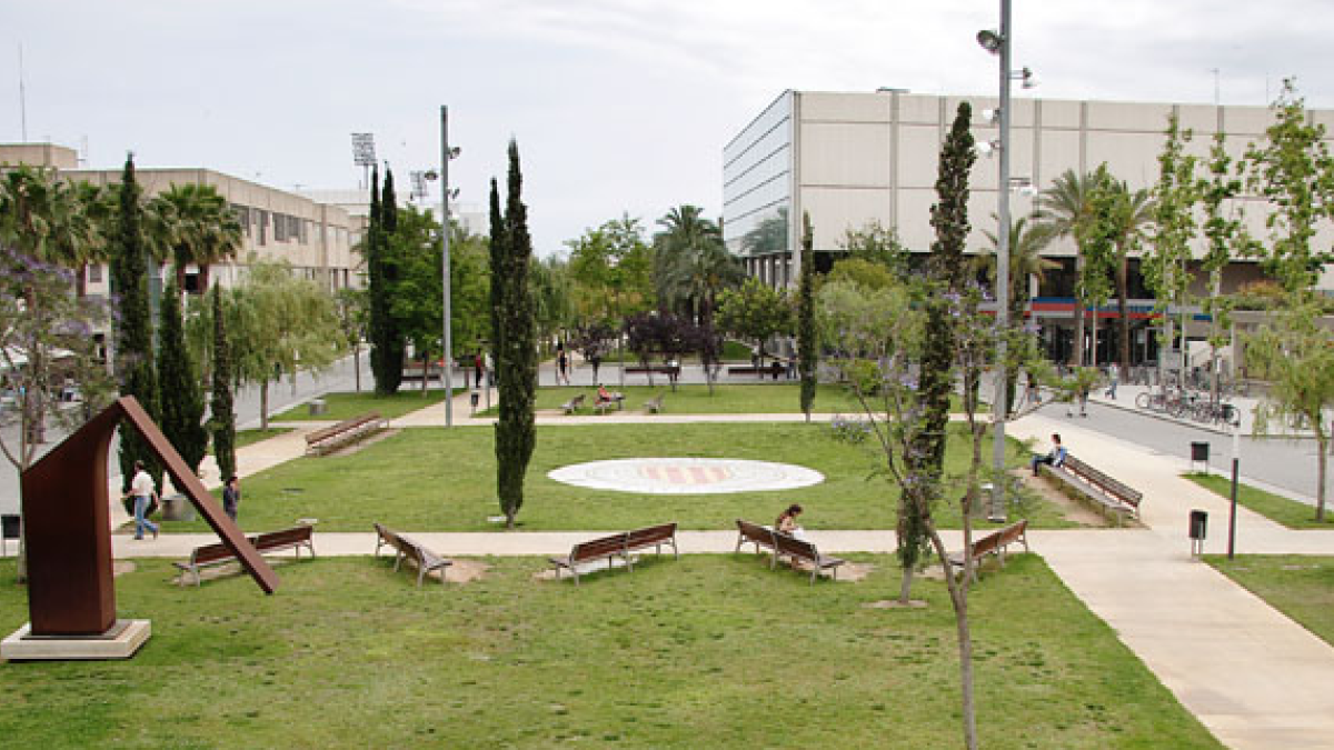 La UPV condenada por no contratar a una monitora embarazada