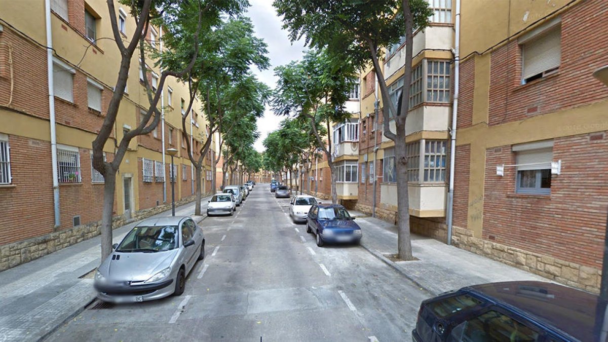 Detinguts dos veïns del barri Fortuny per diversos robatoris al mateix barri