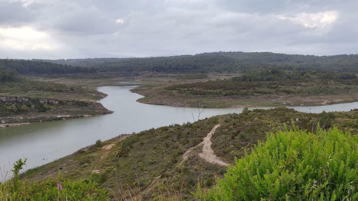 Un nen perdut al Catllar troba els avis gràcies al Whatsapp