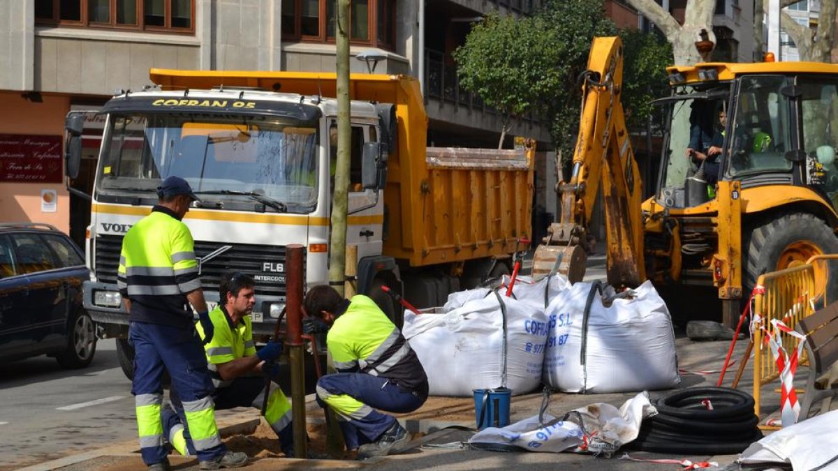 Es replanten una quinzena d'arbres als passejos de Sunyer i Prim de Reus