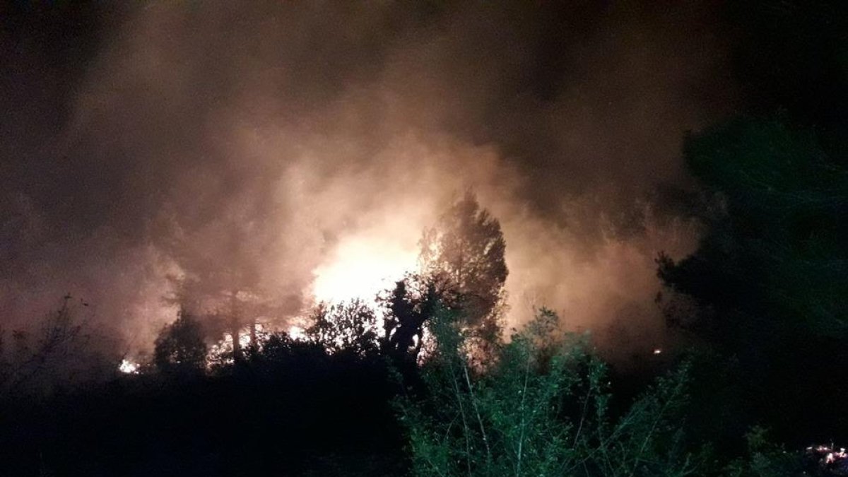 Queman dos hectáreas de vegetación en Torredembarra