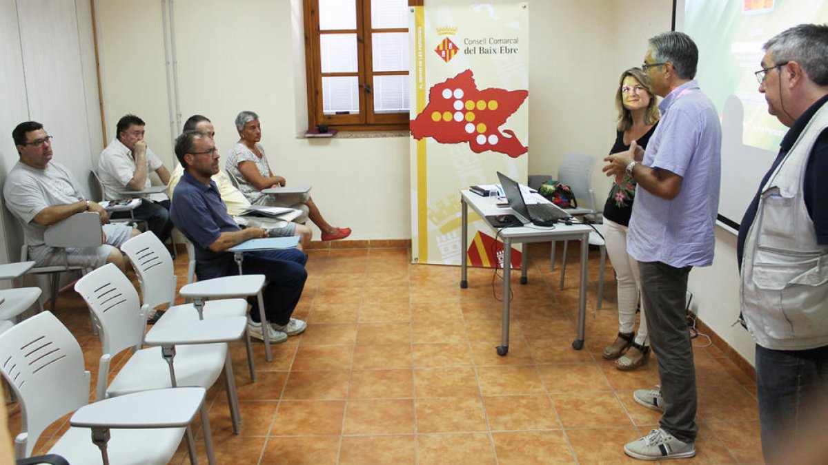 Cinc persones a l'atur faran manteniment a la Via Verda del Baix Ebre, el Camí Natural de l'Ebre i el GR-92