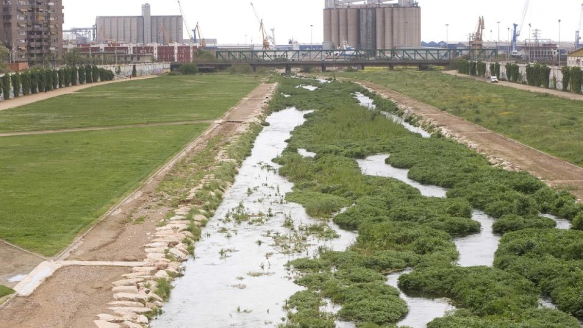 El manteniment de les zones verdes costarà als tarragonins uns 22 MEUR