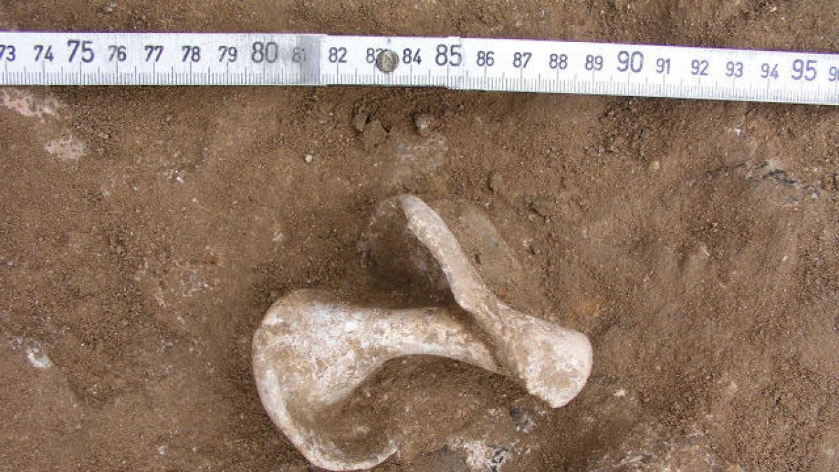 Cambrils acoge un taller donde poder hacer tu propio collar siguiendo la moda prehistórica