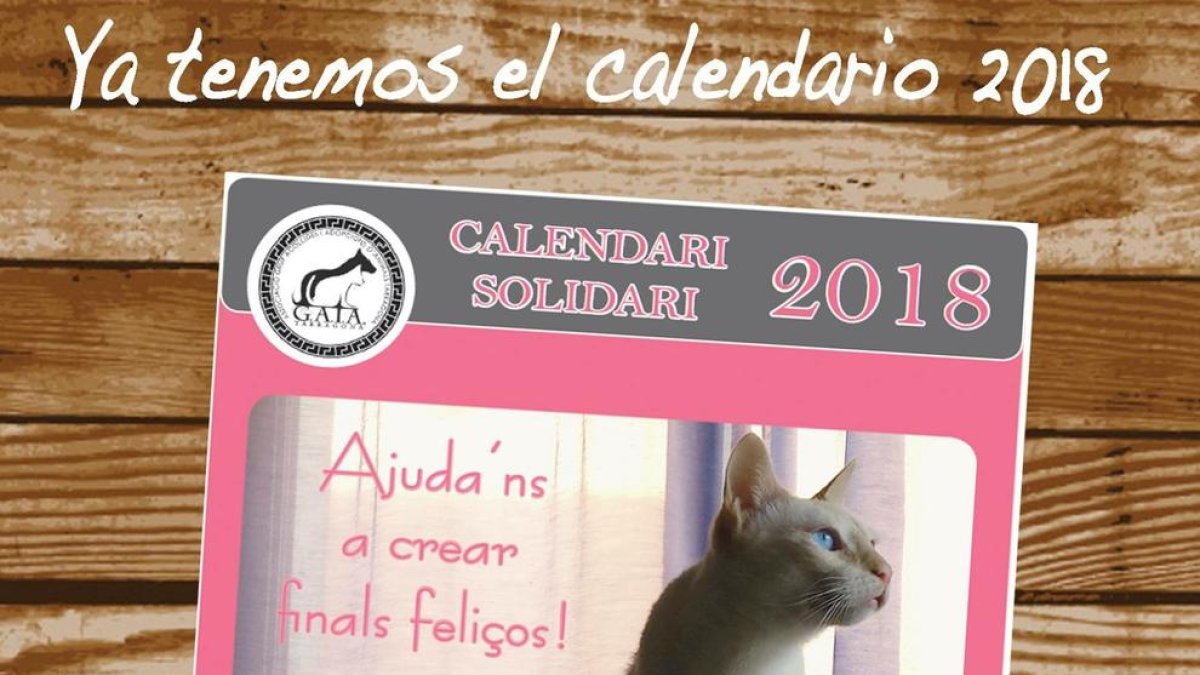 Gaia Tarragona presenta el seu calendari solidari 2018