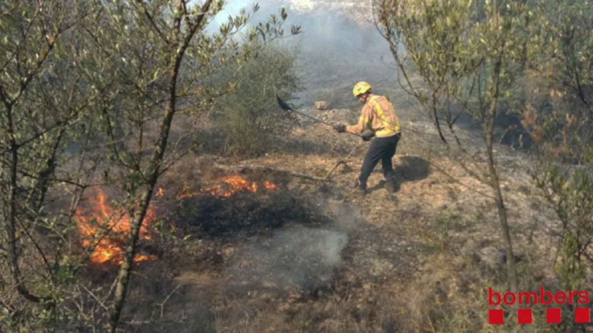 Un incendio cerca de las vías de tren en Riba-Roja obliga a cortar 30 la circulación