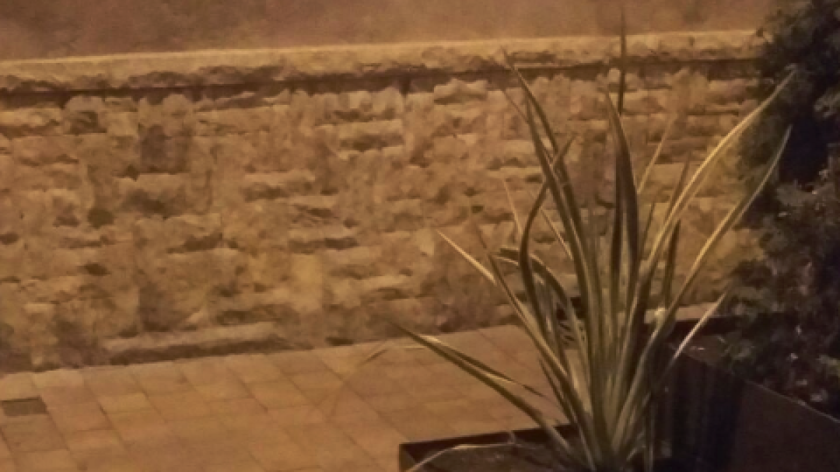 Uns actes vandàlics malmeten diverses jardineres a Torredembarra