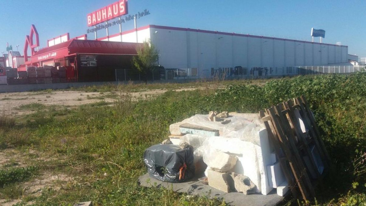 Una colonia de gatos enfrenta GaTvarres y varios vecinos de la floresta