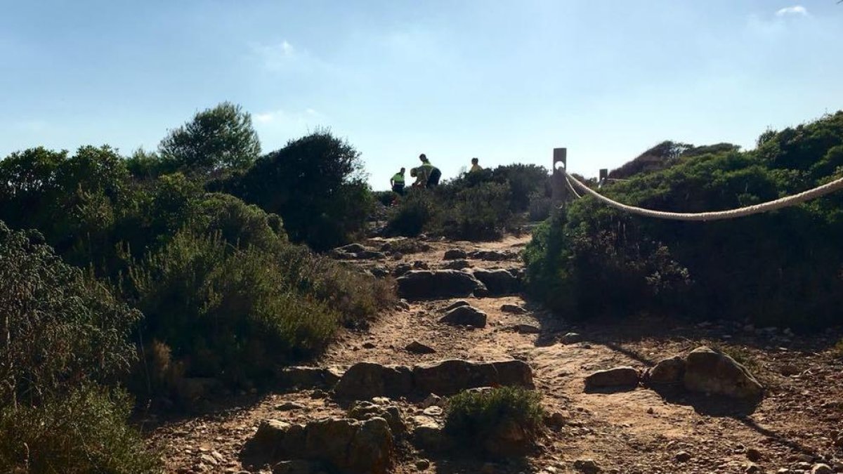 Un incendio quema vegetación en la zona de los Morrots