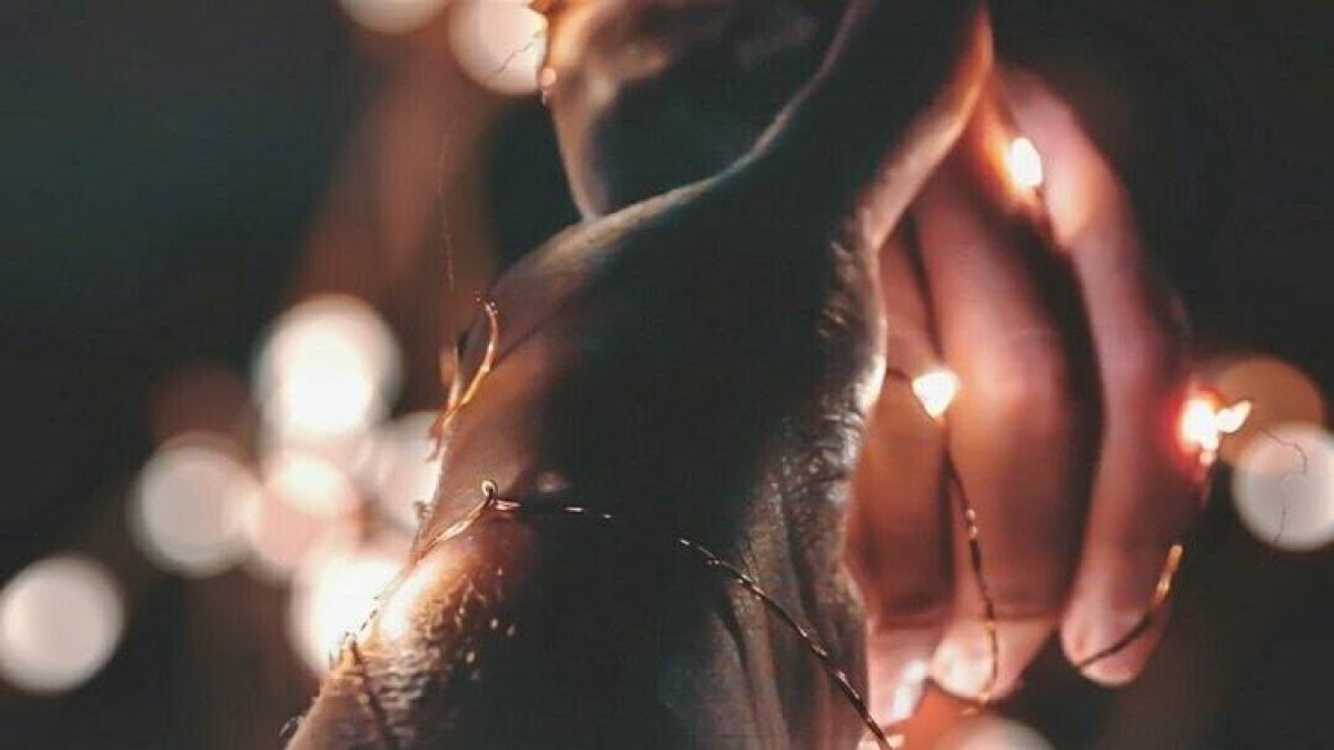 Cristina Torrente i Marta Gago guanyen el concurs #365testimo dels Centres Cívics de Tarragona