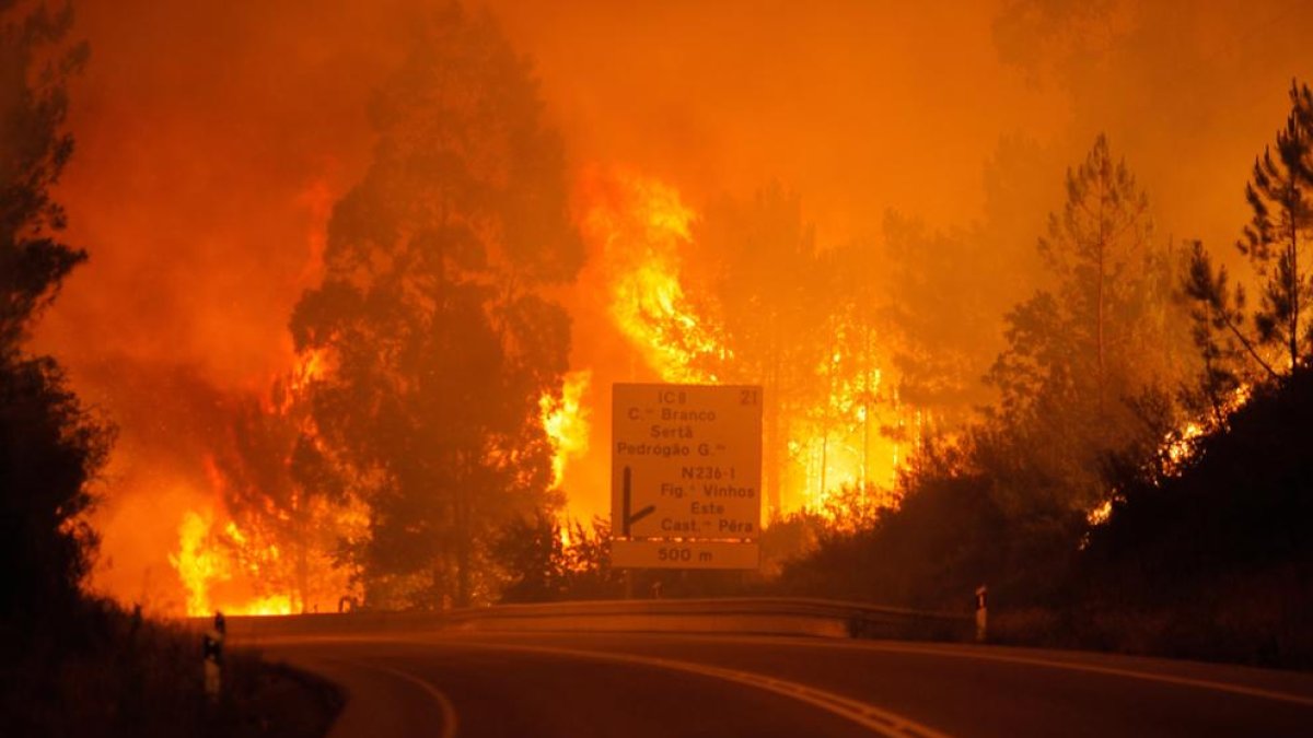 Se eleva a sesenta los muertos en el incendio forestal en el centro de Portugal