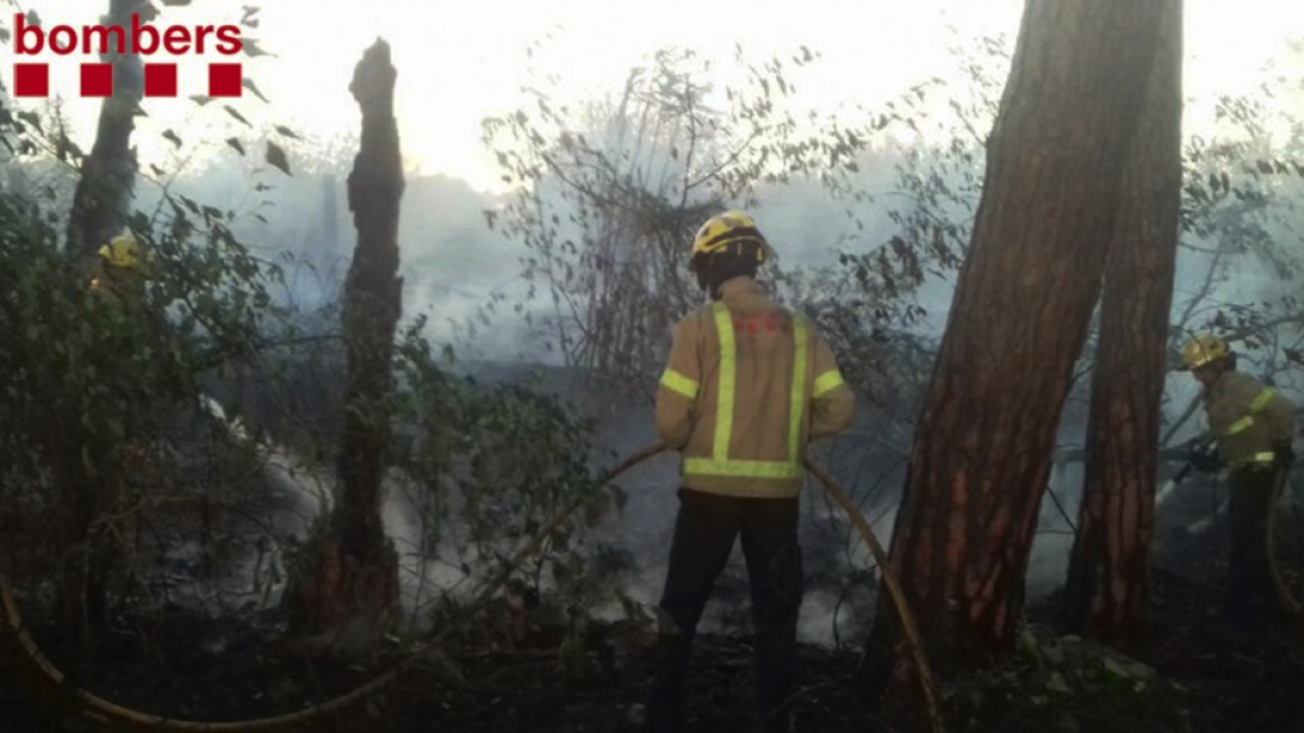Un incendio quema una hectárea de vegetación en la Selva del Camp