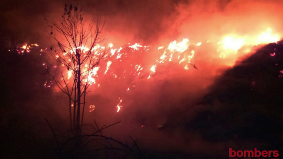 Un incendio quema una gran pila de restos de poda en la Sènia
