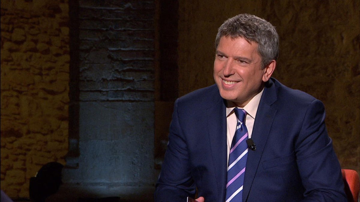 savis amb  memòria a llarg termini