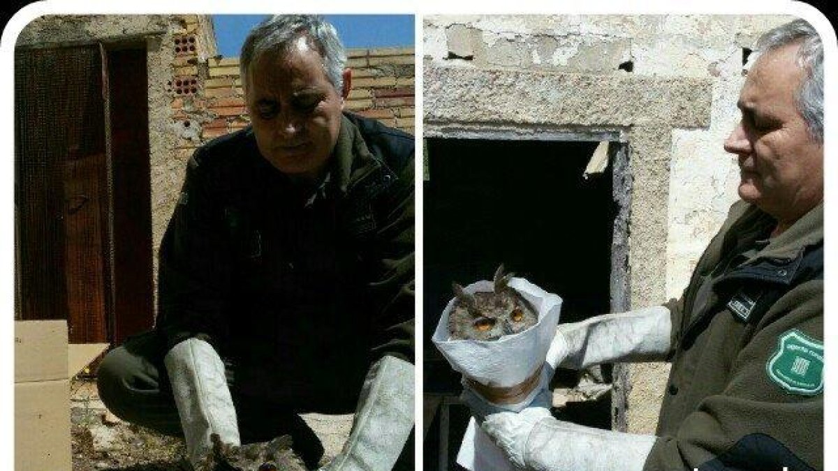 Rescaten un duc ferit a Tortosa