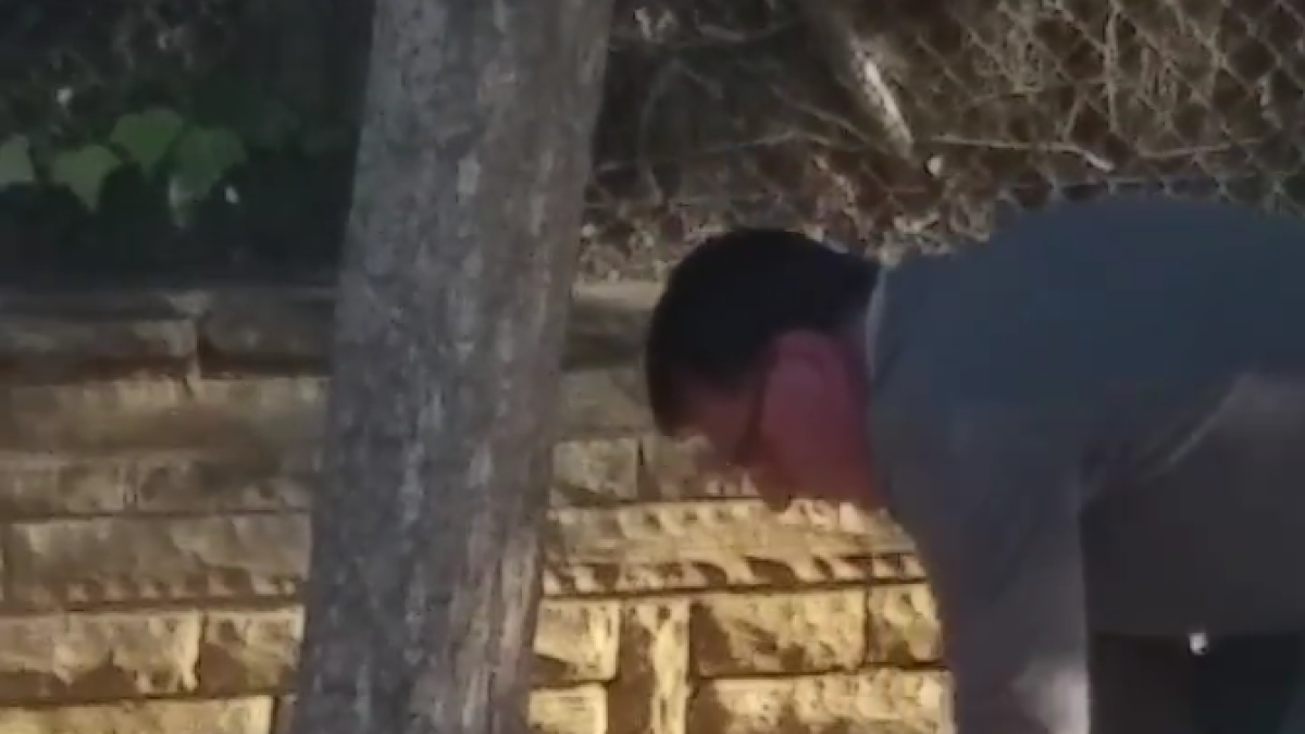 La tala de un árbol de la vía pública por parte de un «vecino» crea la alarma vecinal y llega al pleno del Vendrell