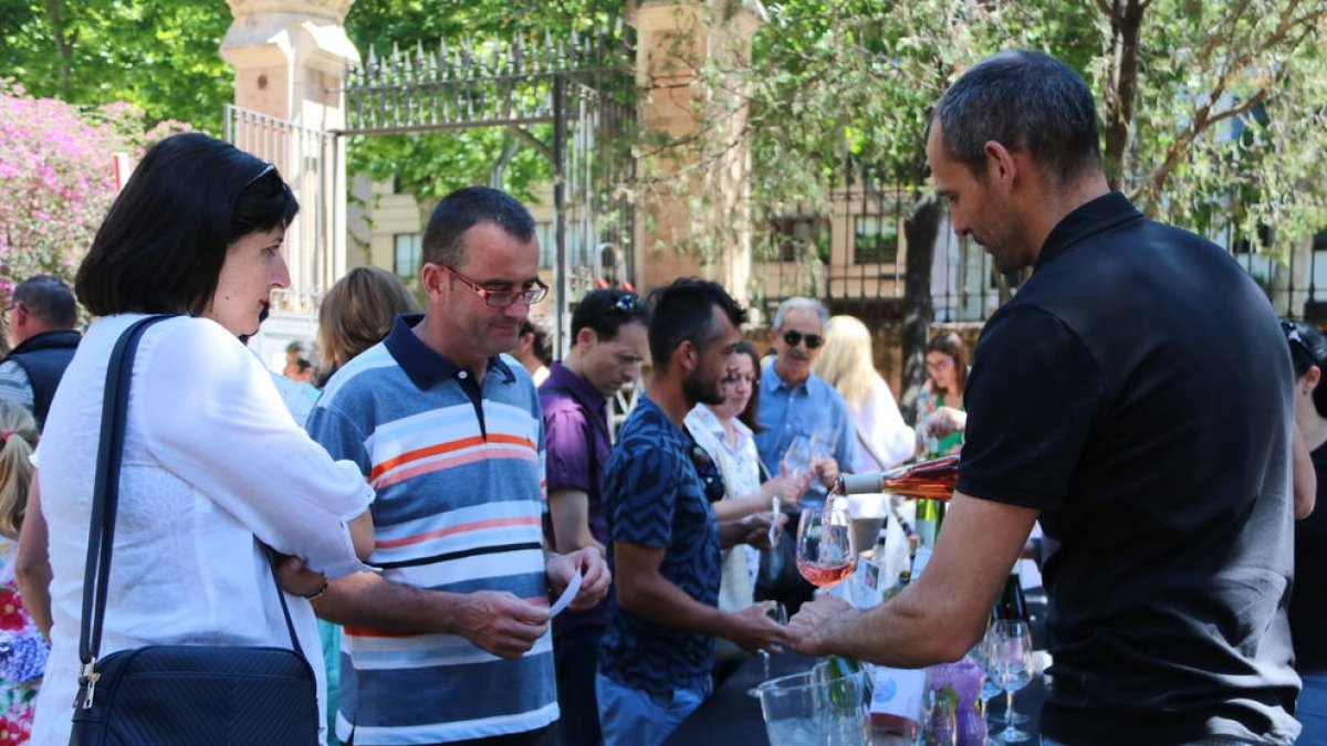 DO, col·lectiu, denominació d'origen, Estació Enològica, brindis, Espanya, vins, Reus, Xavier Pié, DO Catalunya