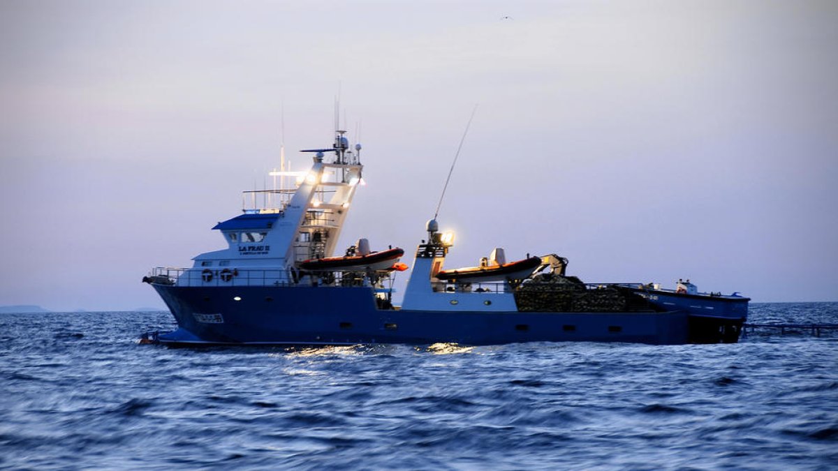 Los atuneros del Ebro denuncian que Canarias esconde parte de la pesca