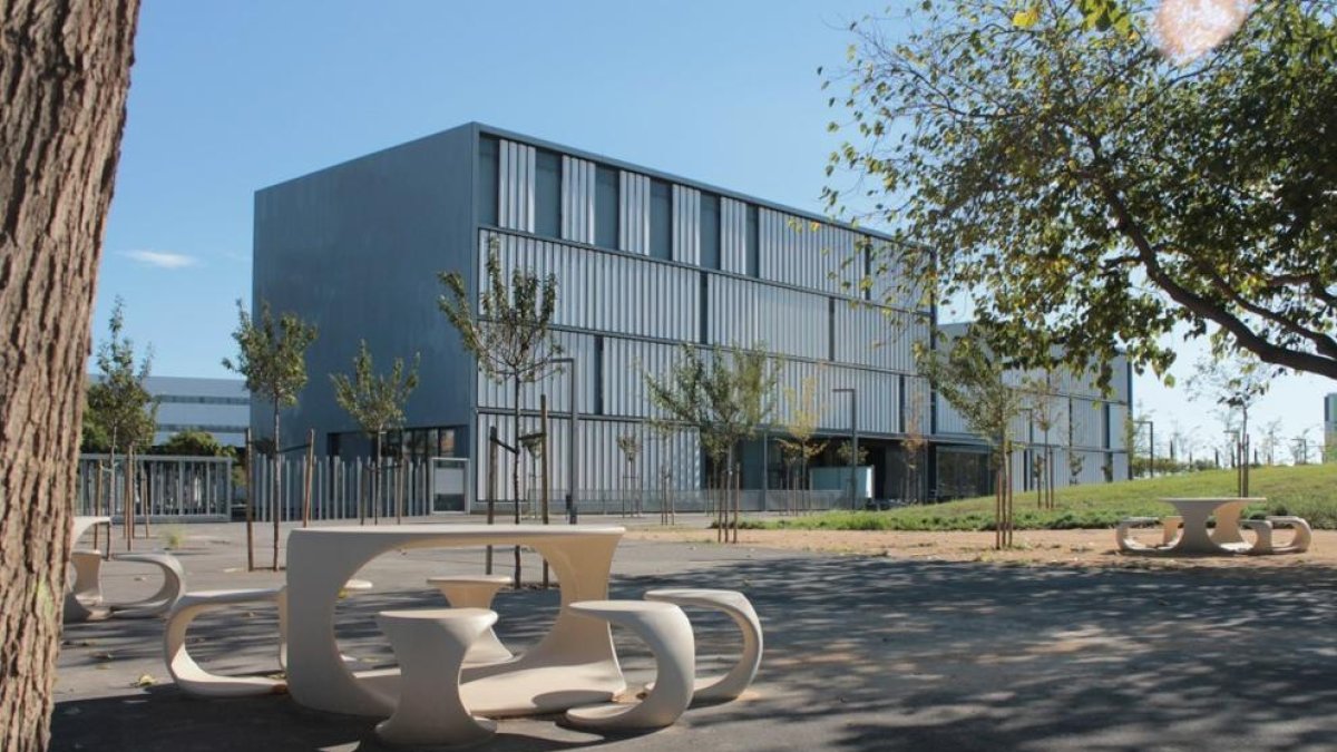 Buscan voluntarios para estudiar los beneficios de la de cúrcuma en el dolor de rodillas