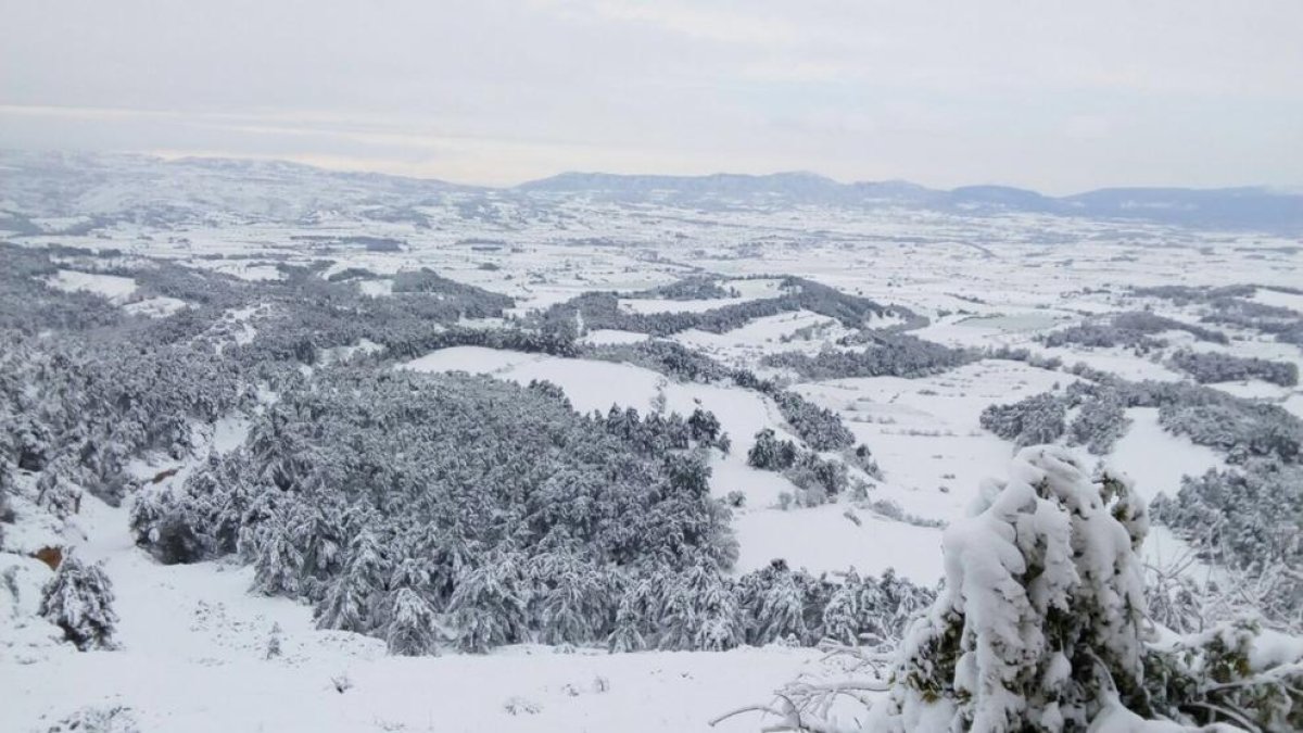 Gran nevada al Camp de Tarragona