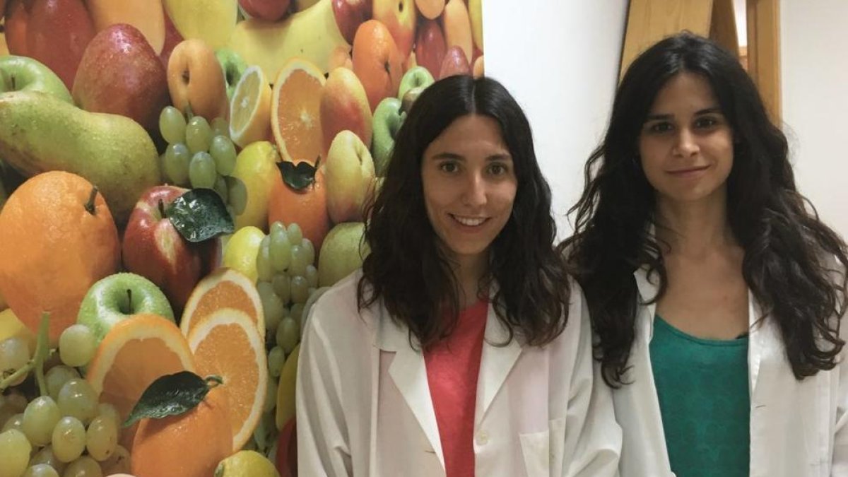 La URV gana un premio internacional sobre diabetes