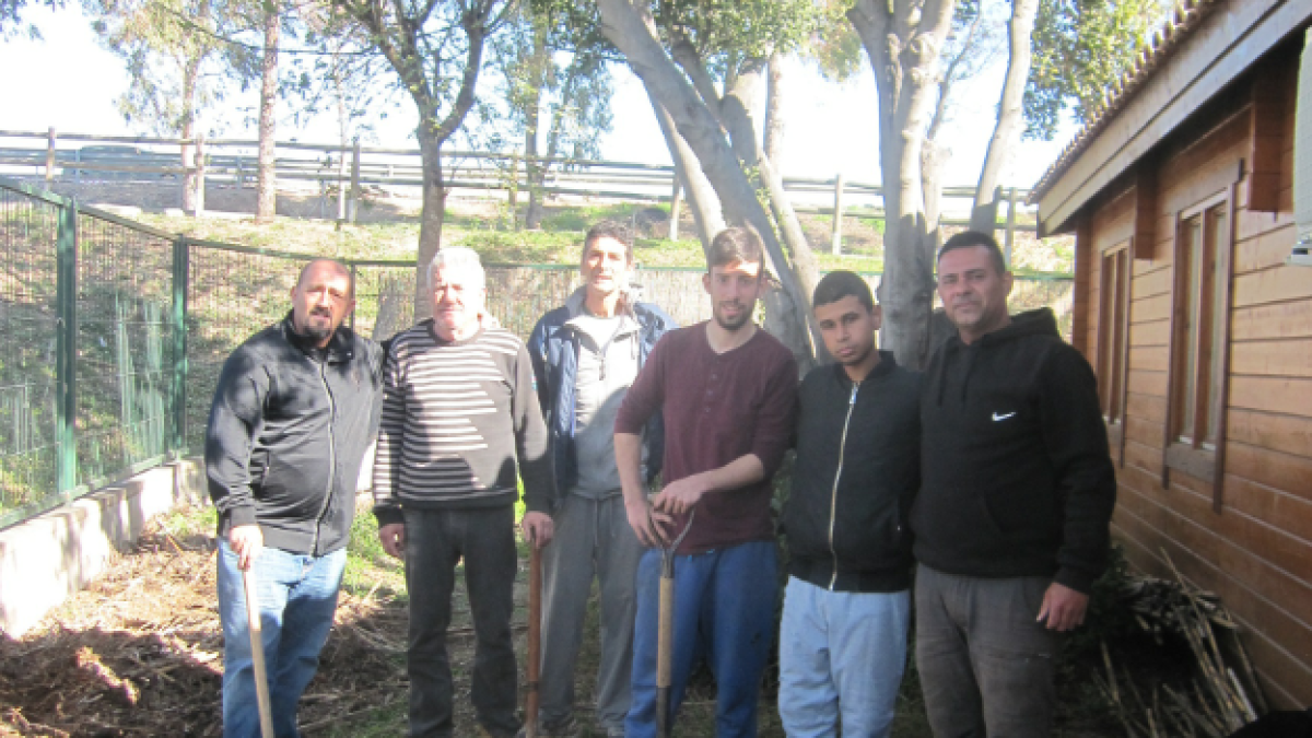 Una asociación quiere adoptar asnos