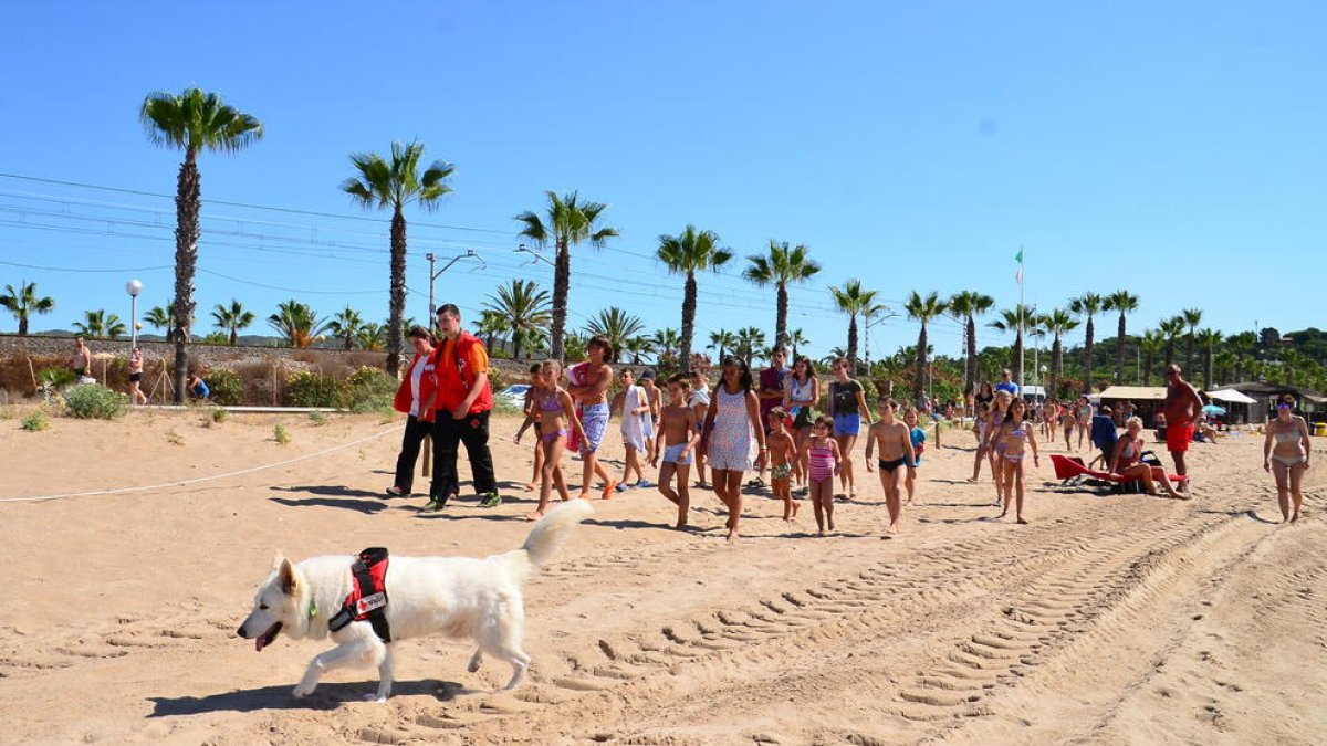 La unidad canina ERIE muestra su tarea en la playa Larga de Roda de Berà