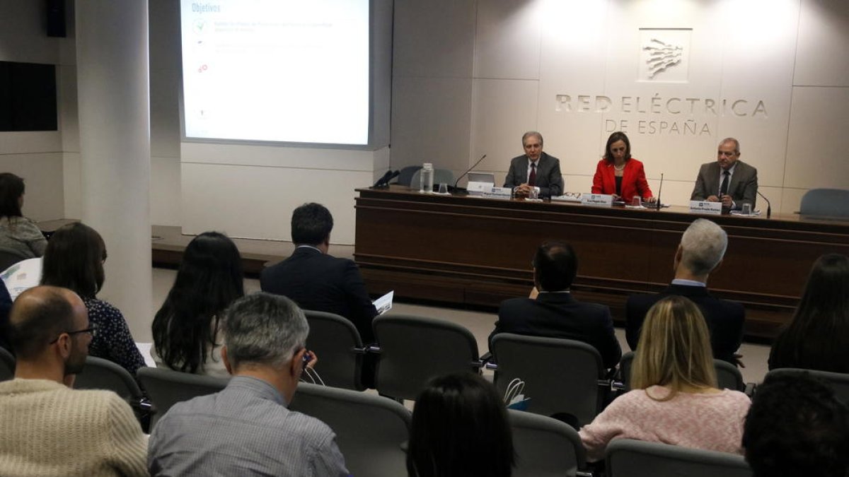 Red Eléctrica recorrerà als tribunals les taxes pel pas de línies elèctriques