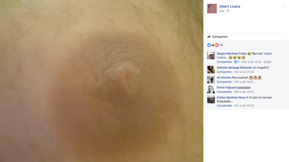 Edilas y asesores de Sagunt muestran los pechos en Facebook para combatir el machismo