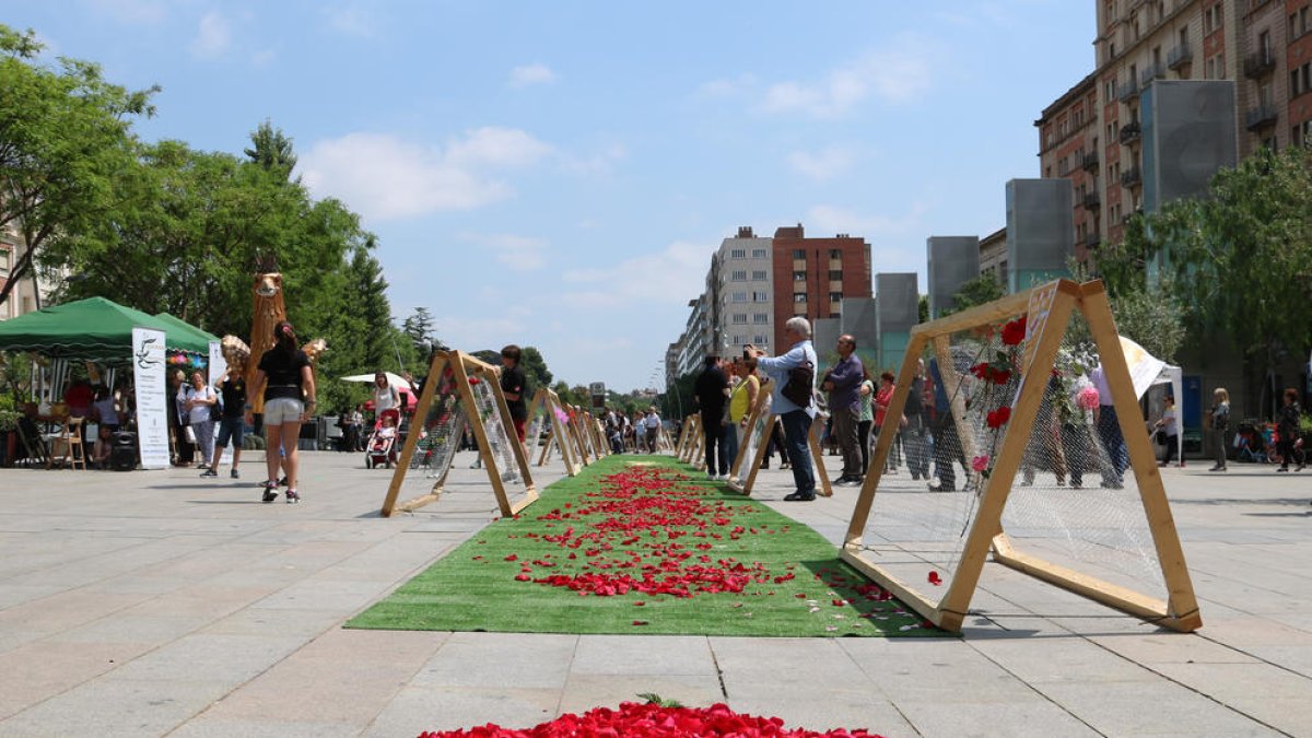 entitats, jardí, Roses, plaça de la Llibertat, Reus, participativa, Acció
