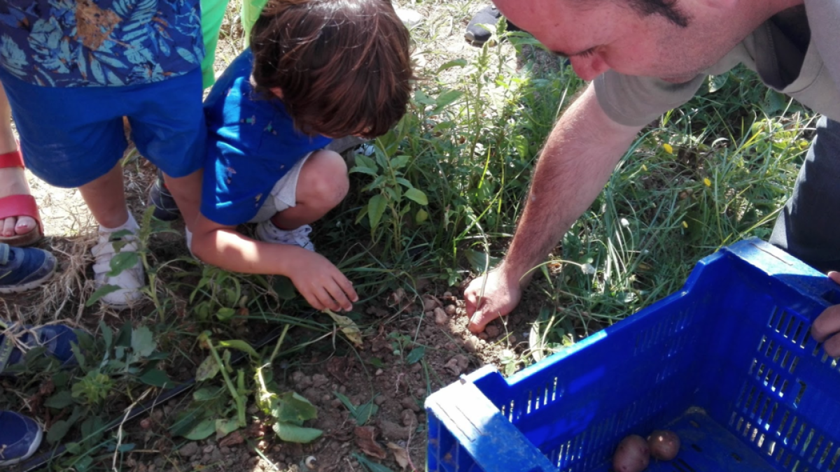 Uno de los galardones de los IV Premios Huertos Educativos recae en un instituto de Alcanar