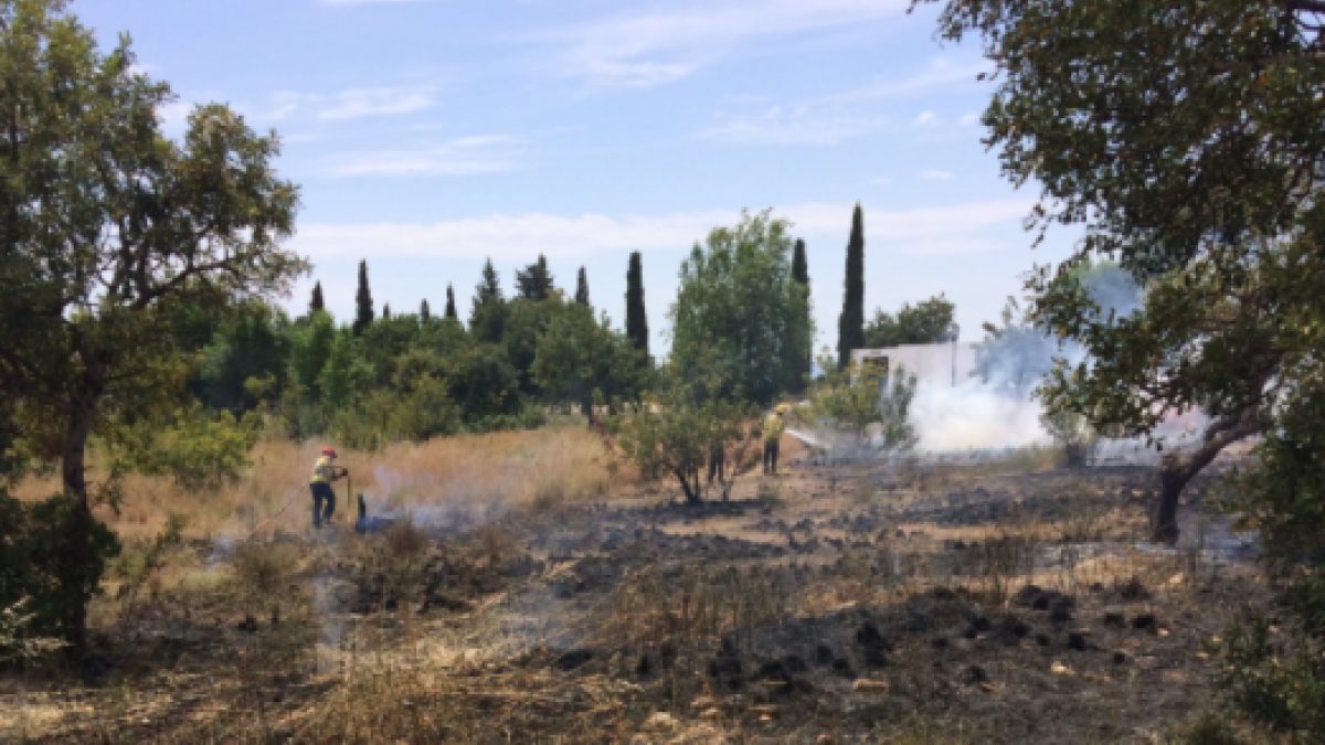 Un incendio quema matorrales cerca del cementerio de la Canonja