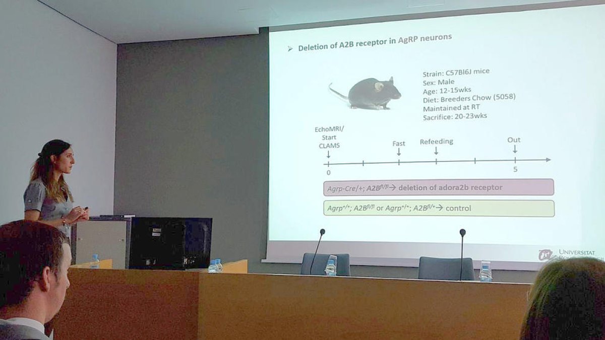Una tesi de la URV demostra que el raïm i les cireres regulen la gana