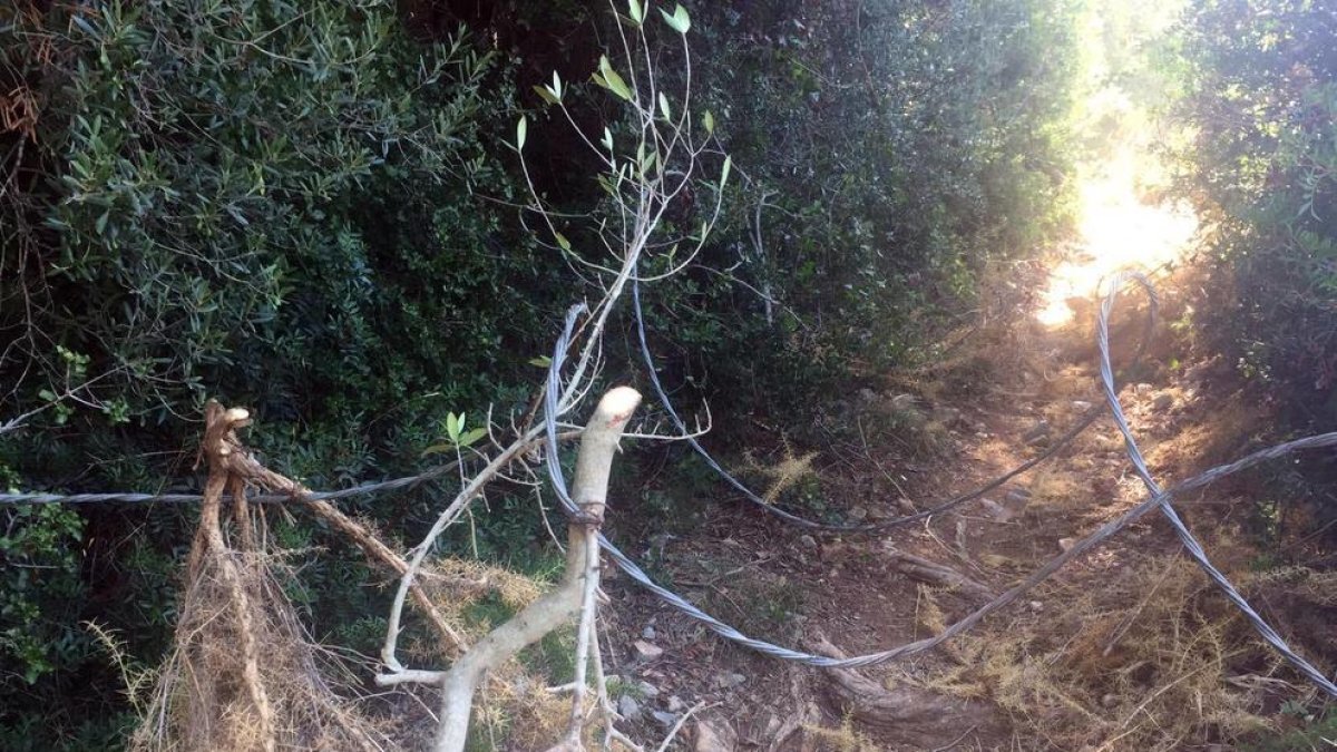 Apareix un perillós cable en un camí de Calafell freqüentat per ciclistes