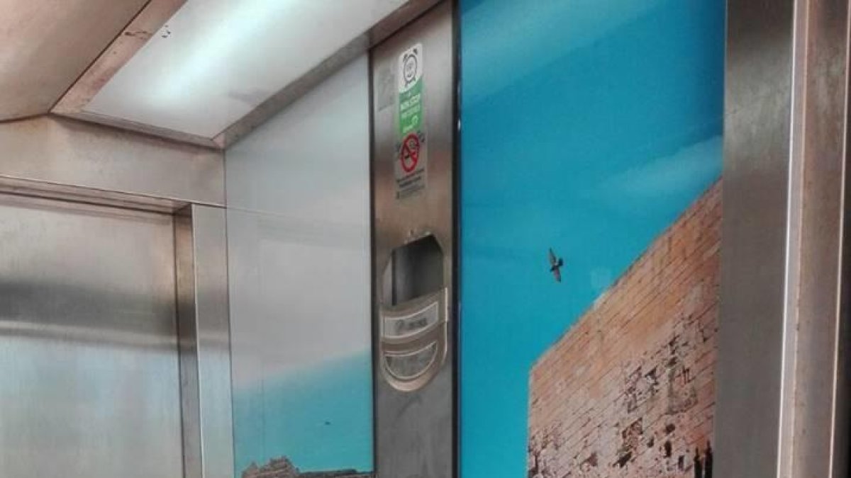 Vinilos en el ascensor del Anfiteatro