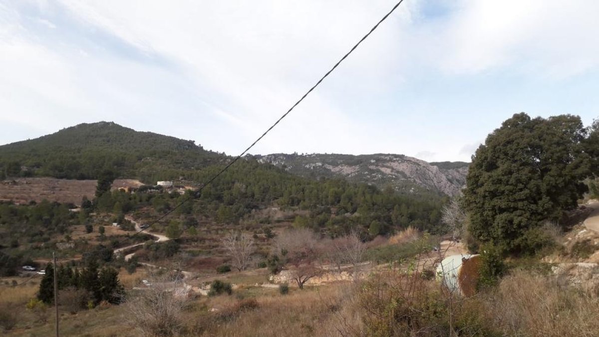 Un hombre ha muerto accidentalmente en una batida de jabalíes en Vandellós