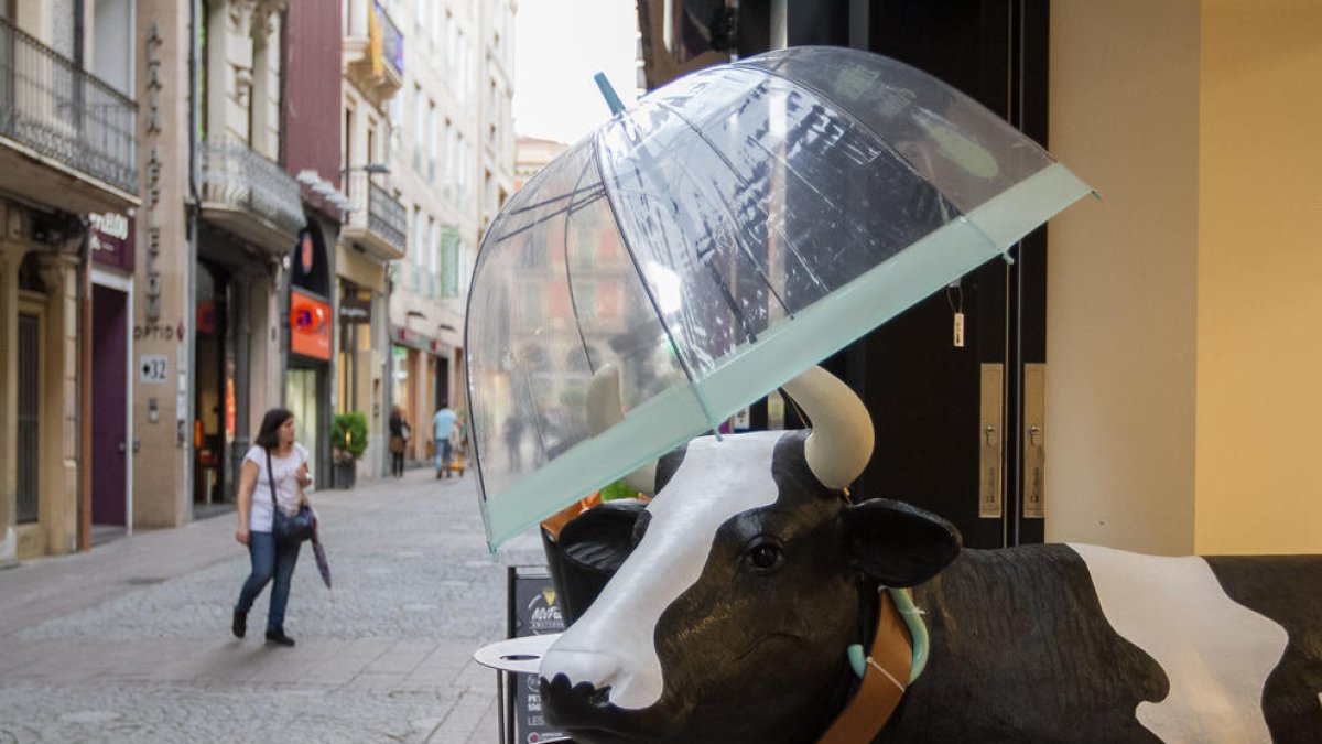 Si plou, que no es mulli la vaca