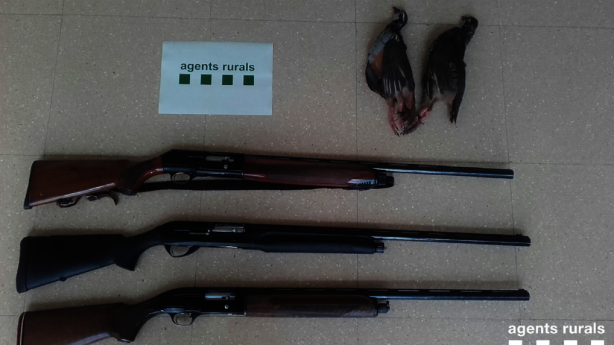 Agents Rurals denuncia a tres persones per caçar en zones de seguretat de l'Alt Camp