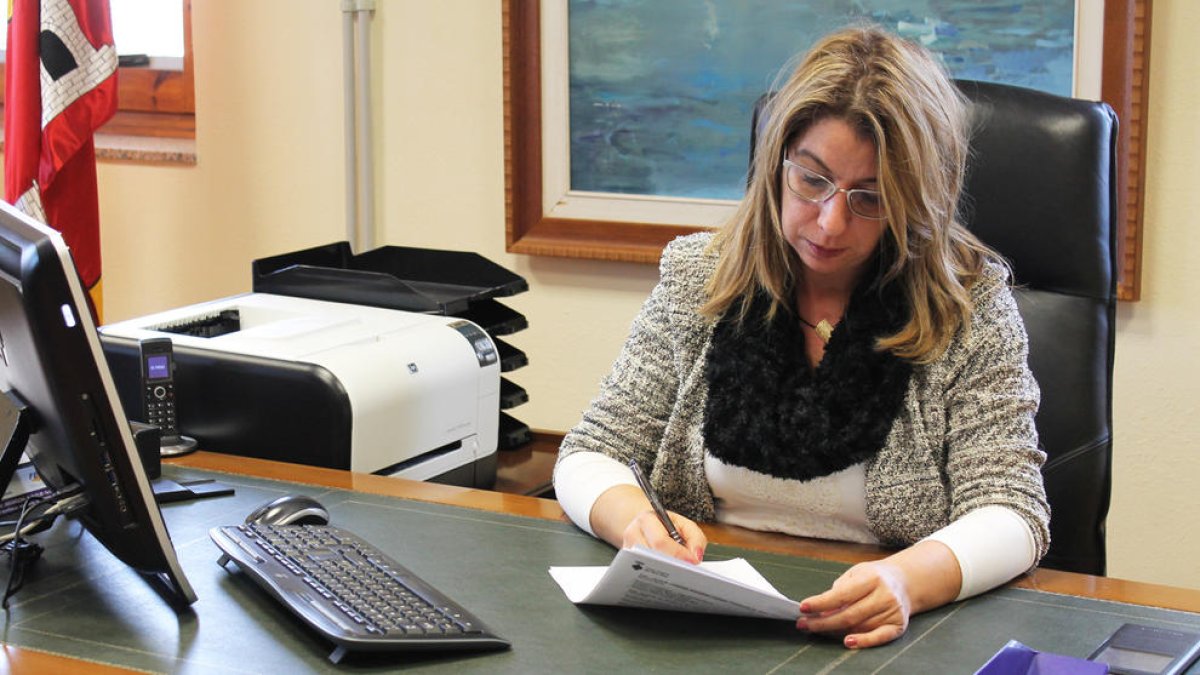 Este es el nuevo cartapacio del Consejo Comarcal del Baix Ebre