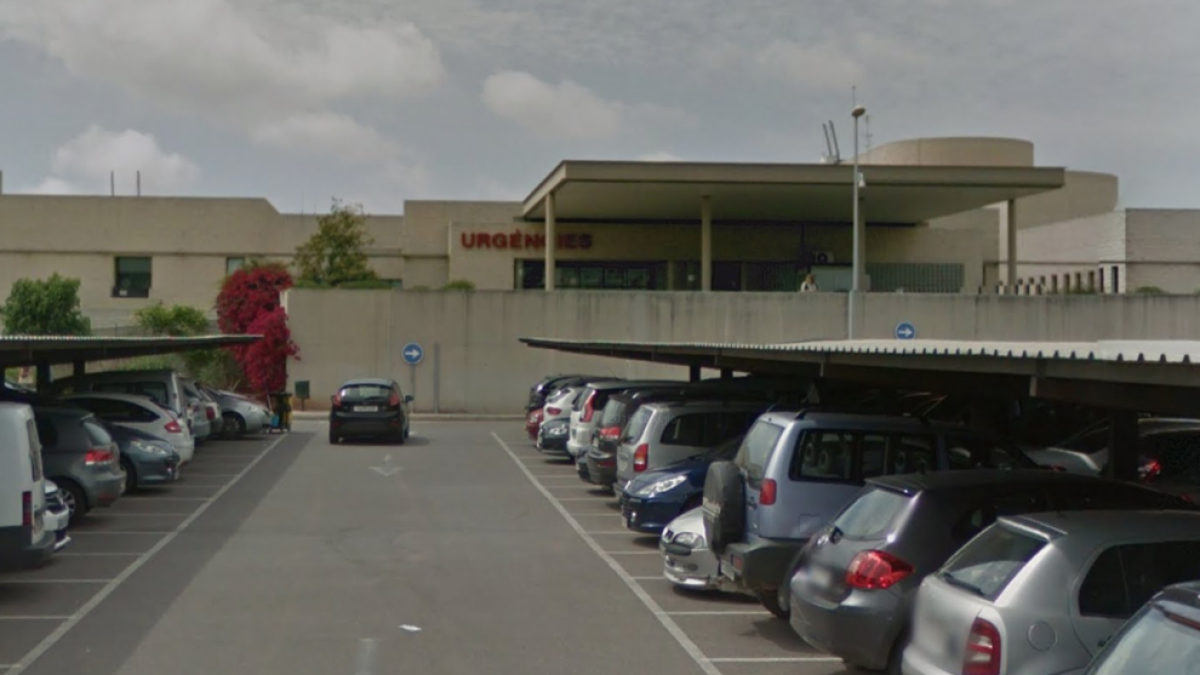 Uns grup de gossos mata un home de setanta anys a La Vall d'Uixó