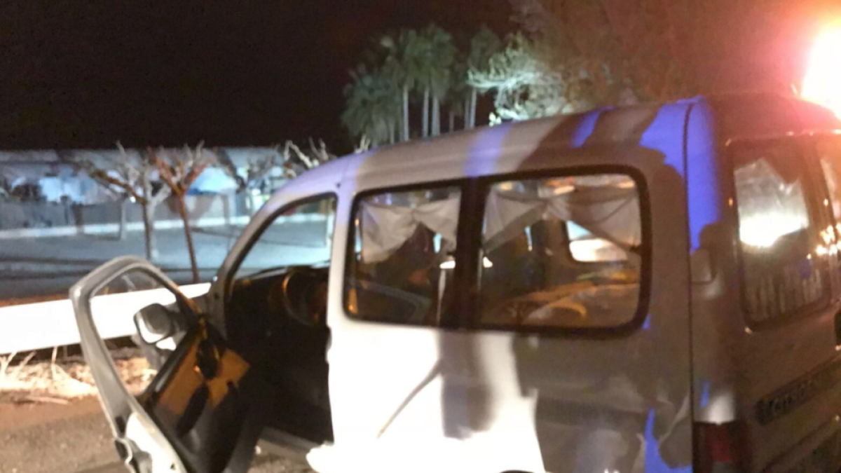 Un cotxe topa amb un porc senglar a l'N-340 a Altafulla