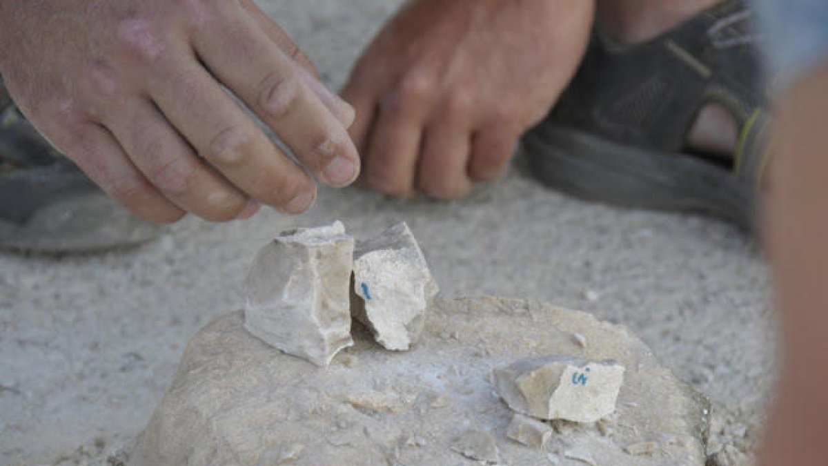 Más de 150 expertos participan en un congreso internacional sobre arqueología experimental en Tarragona